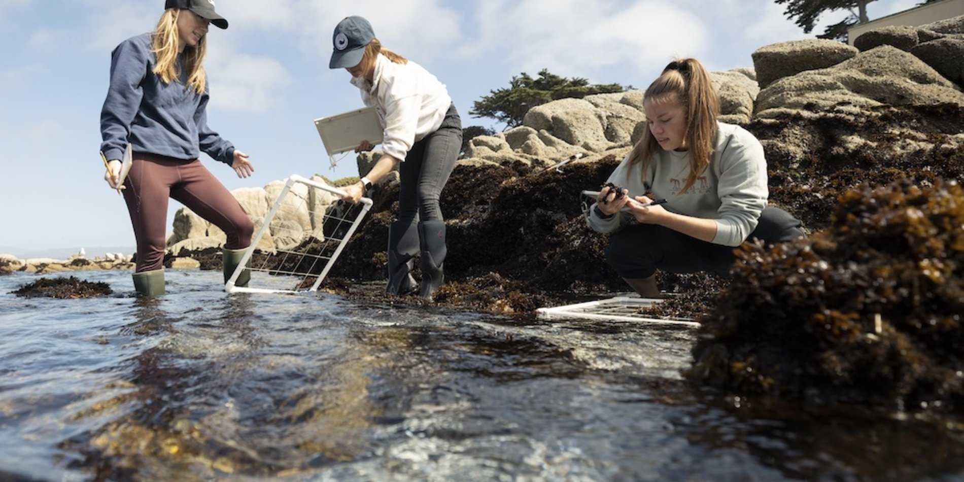 Students at Hopkins Marine Station exploring a tidepool