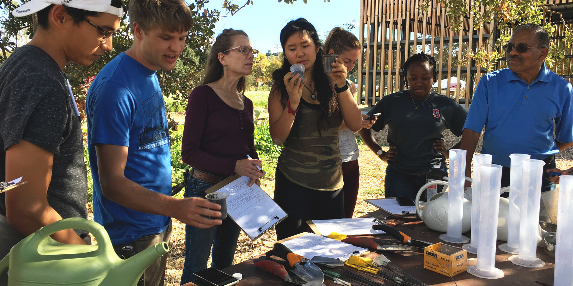 A group of students doing research outdoors with faculty