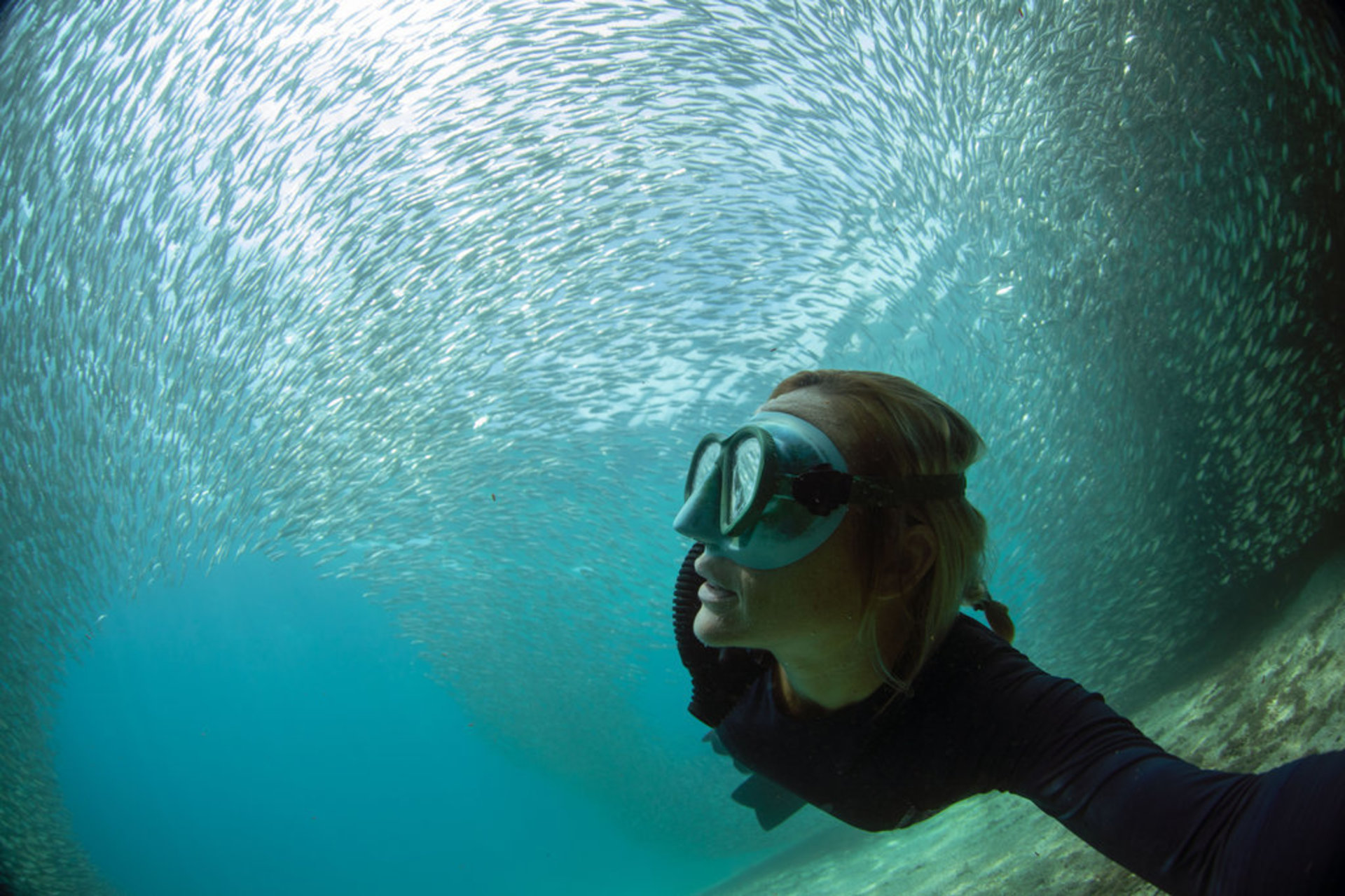 Woman Snorkeling with school of fish above her