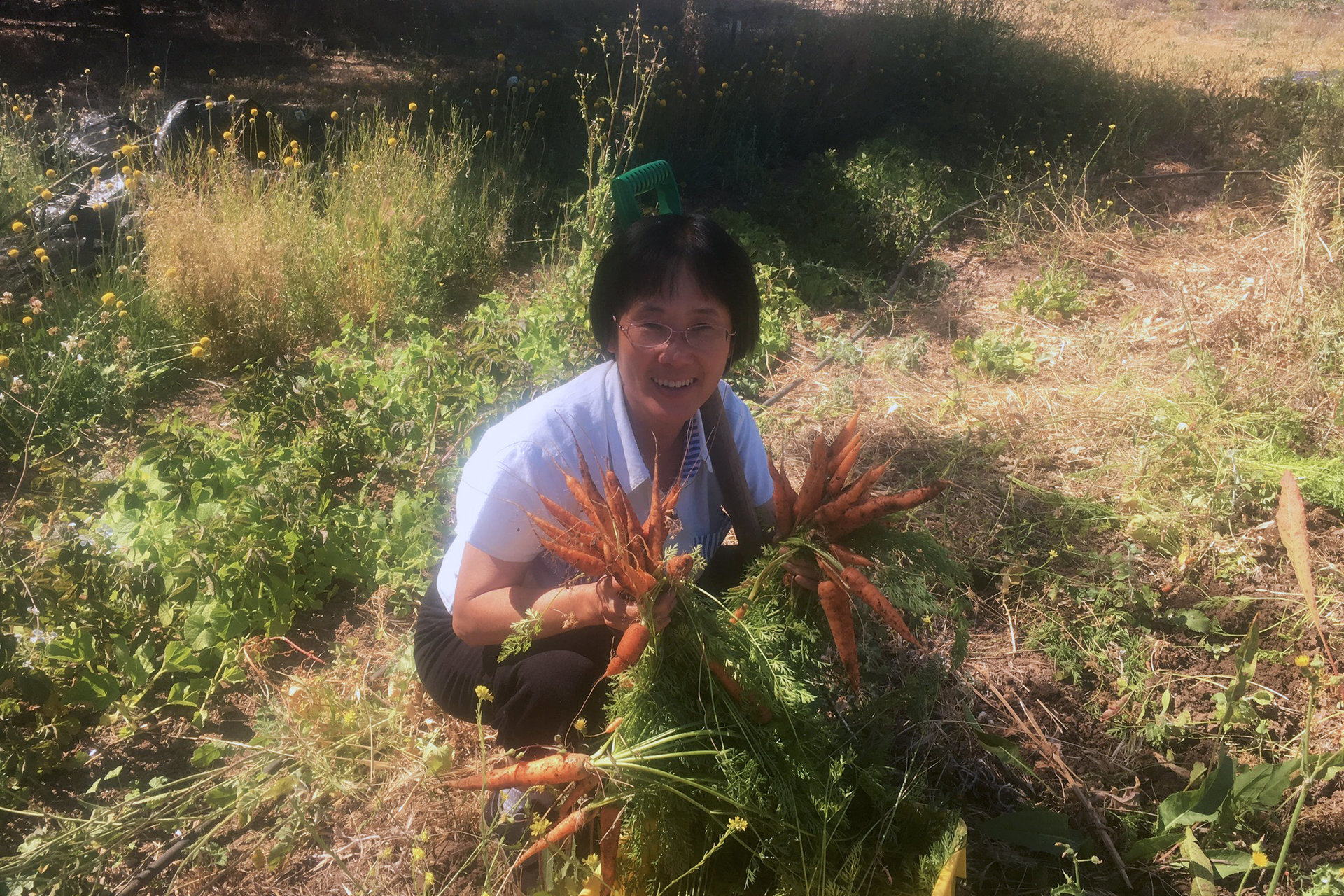 A volunteer holding freshly harvested carrots from the O'Donohue Family Educational Farm