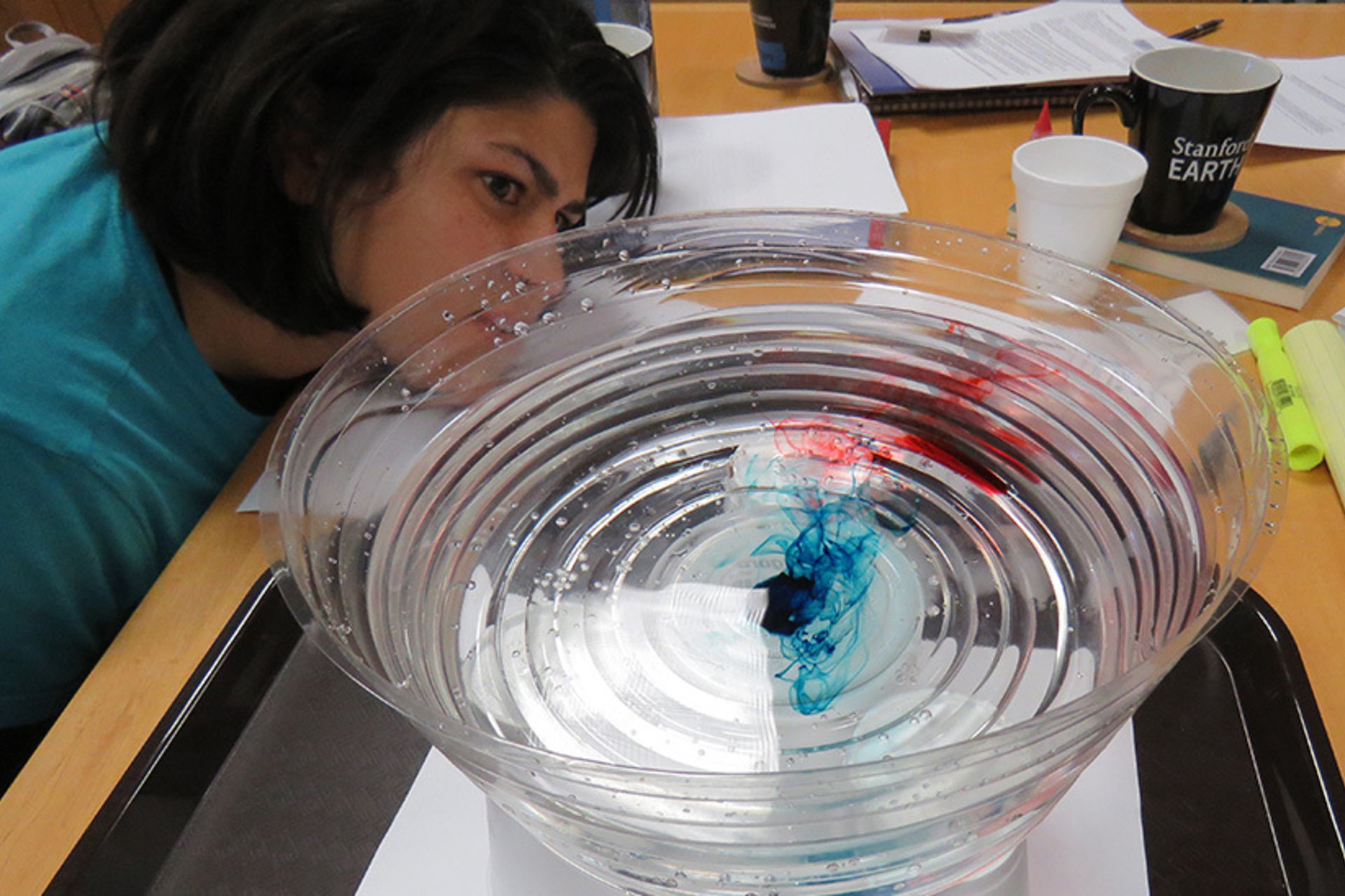 Teacher looking at bowl of water with dye in it