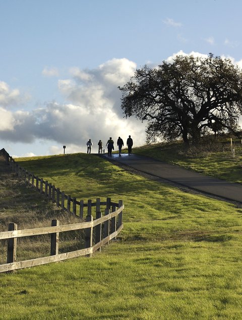 People hiking up a trail on the Stanford Dish on a sunny day
